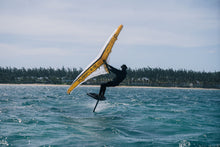 Ozone Fusion V2 Ultra-X Wind Wing