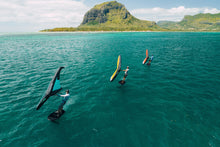 Ozone FLY V1 Wind Wing